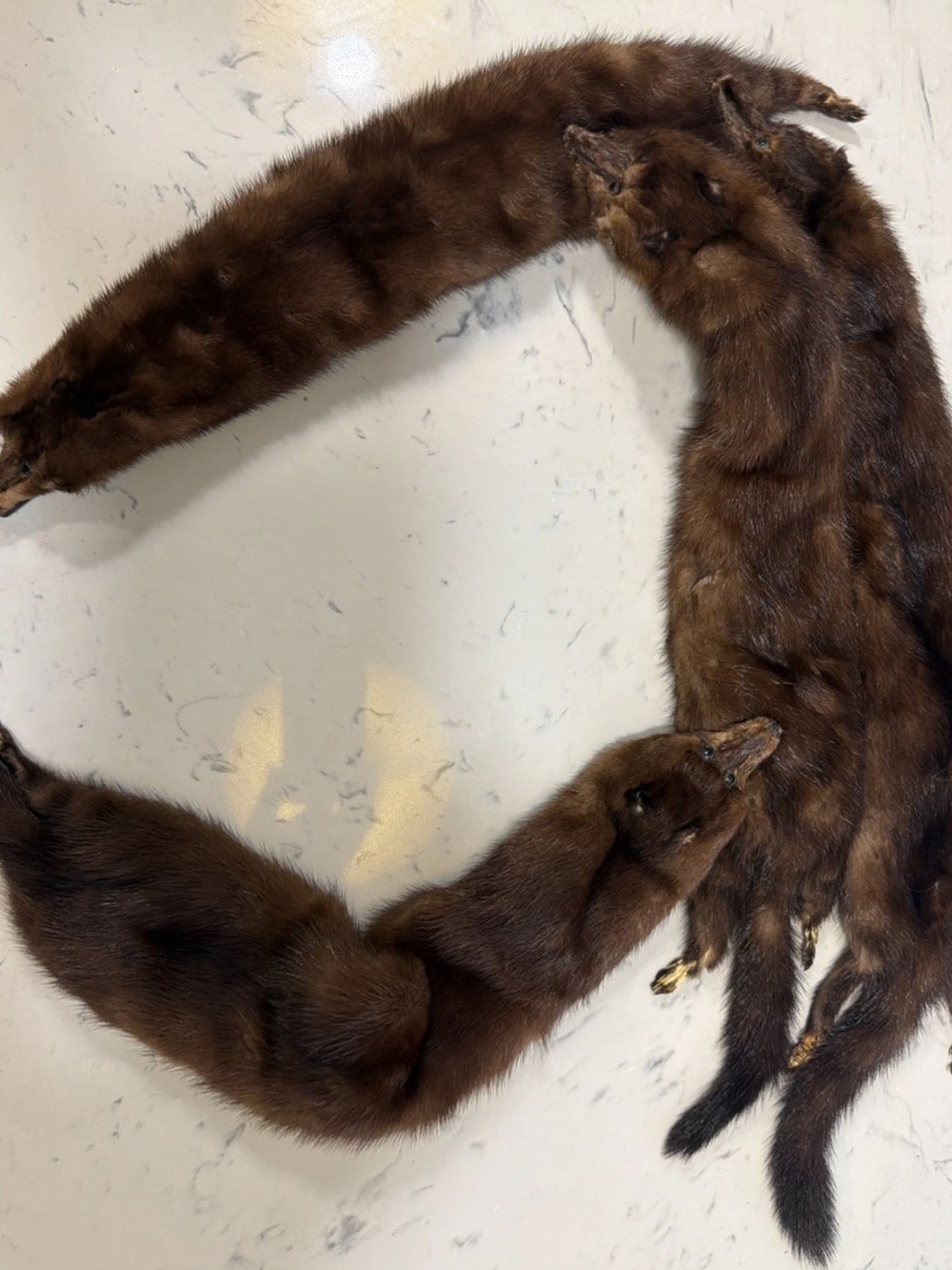 Vintage 1920’s Brown 4 Mink full body Pelts neck wrap around scarf taxidermy 52”